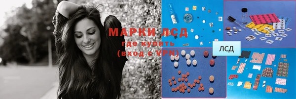 метадон Богданович