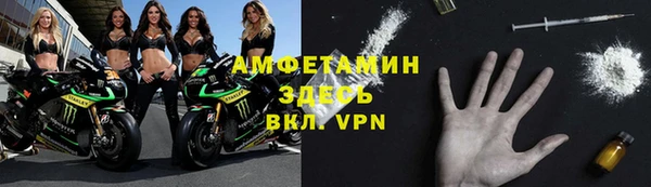 метадон Богданович