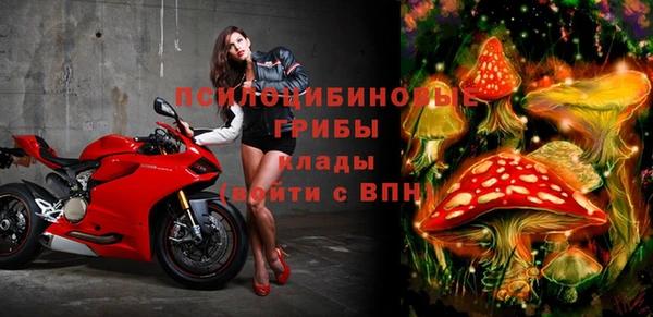 прущая мука Богородицк