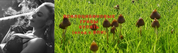 метадон Богданович