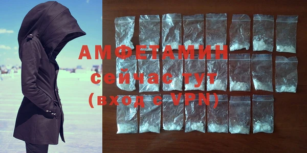 метадон Богданович